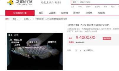 龍魚常見品種飼養(yǎng)與現(xiàn)狀研究論文范文:有關(guān)龍魚常見品種飼養(yǎng)與現(xiàn)狀研究論文范文 龍魚百科 第1張 龍魚常見品種飼養(yǎng)與現(xiàn)狀研究論文范文:有關(guān)龍魚常見品種飼養(yǎng)與現(xiàn)狀研究論文范文 龍魚常見品種飼養(yǎng)與現(xiàn)狀研究論文范文:有關(guān)龍魚常見品種飼養(yǎng)與現(xiàn)狀研究論文范文 龍魚百科 第1張
