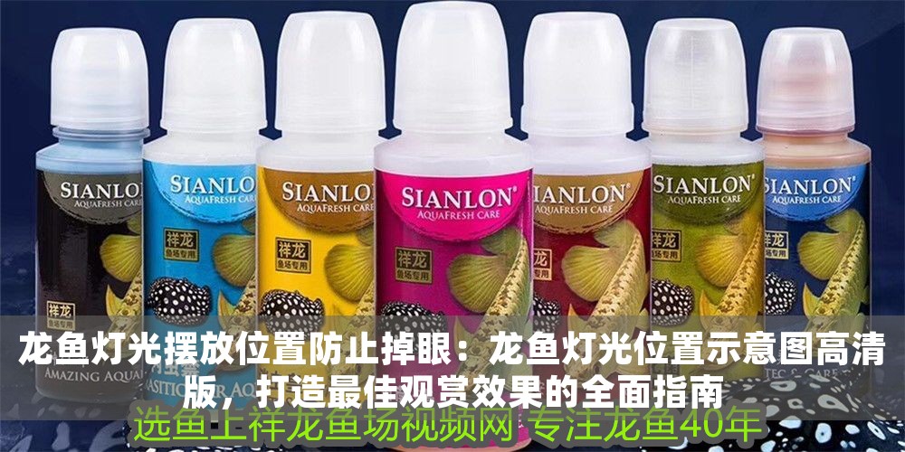 龍魚燈光擺放位置防止掉眼：龍魚燈光位置示意圖高清版，打造最佳觀賞效果的全面指南