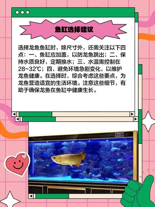 80的缸能養龍魚嗎