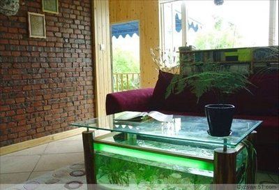 魚缸裝飾效果圖大全2014圖片及價格（2014年魚缸裝修效果圖、魚缸背景墻裝修搭配方案）