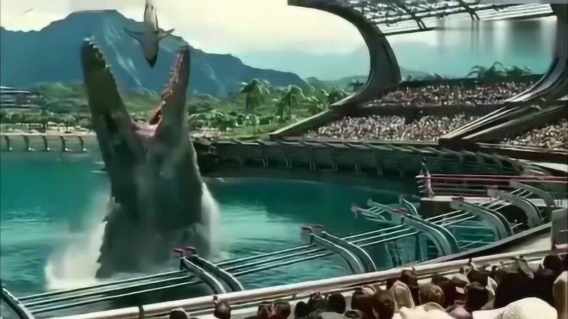 虎頭鯊吃銀龍魚視頻