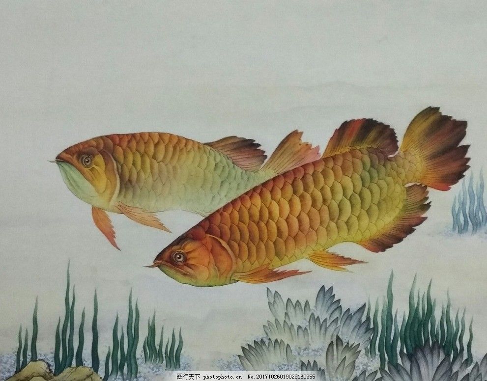 彩蝶魚缸官方售后電話地址（彩蝶魚缸售后服務評價）