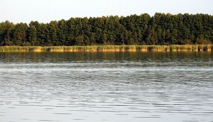 龍魚混養(yǎng)注意事項和禁忌食物，龍魚混養(yǎng)的注意事項