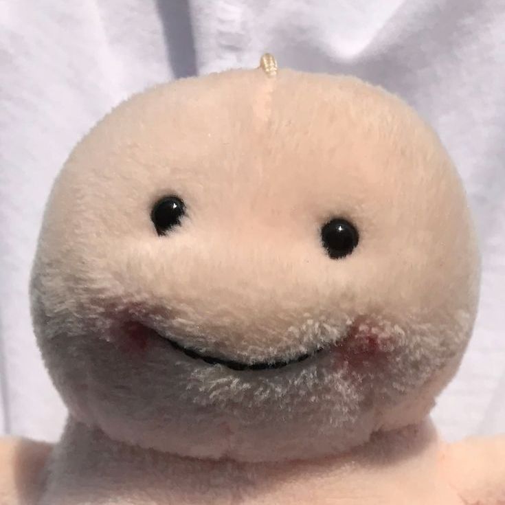 金鼓魚的功效與作用