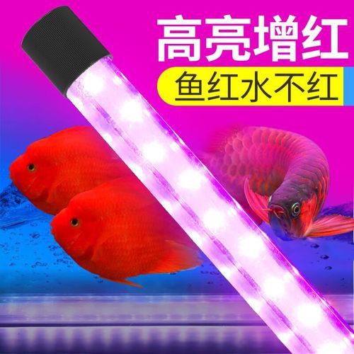推薦幾款性價比高的龍魚燈具