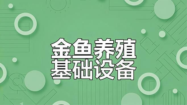 金魚飼養需要哪些設備？