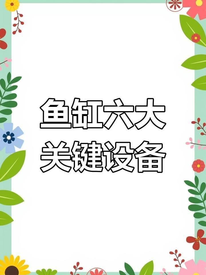 金魚飼養需要哪些設備？