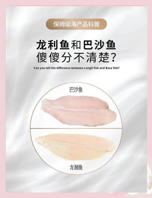 龍利魚和巴沙魚的圖片