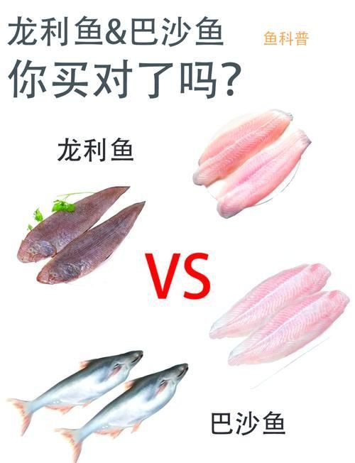 龍利魚和巴沙魚的圖片