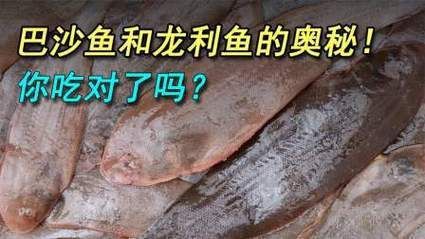 龍利魚和巴沙魚的圖片
