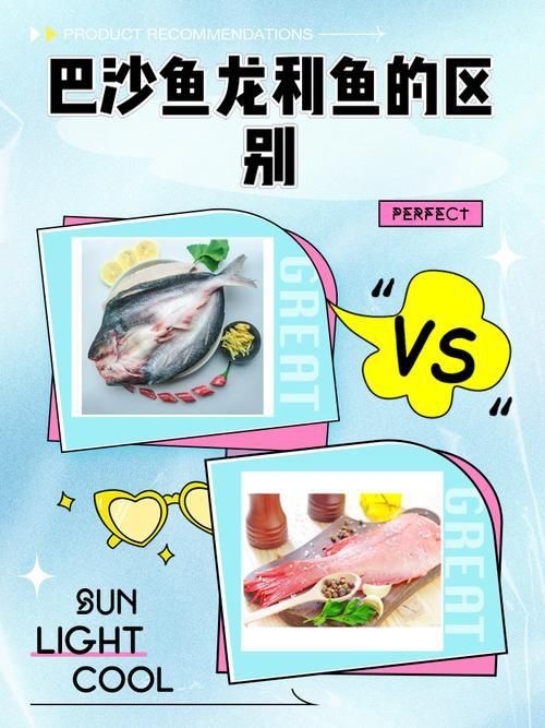 龍利魚和巴沙魚的圖片