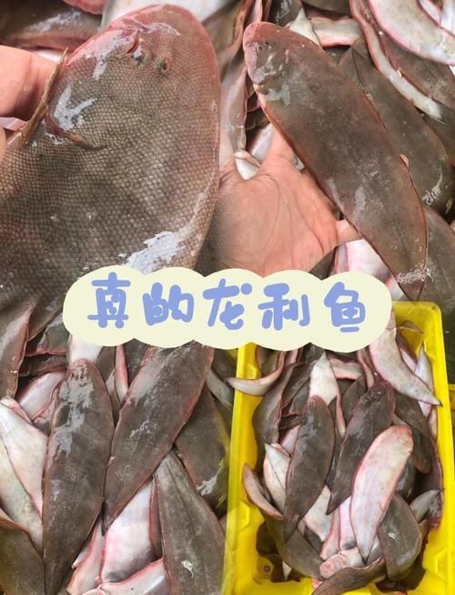 龍利魚和巴沙魚的圖片