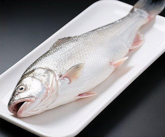 龍利魚和巴沙魚的圖片