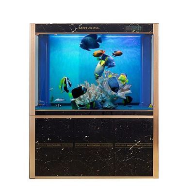 龍魚黑缸是什么缸啊：\"龍魚黑缸飼養的日常維護要點