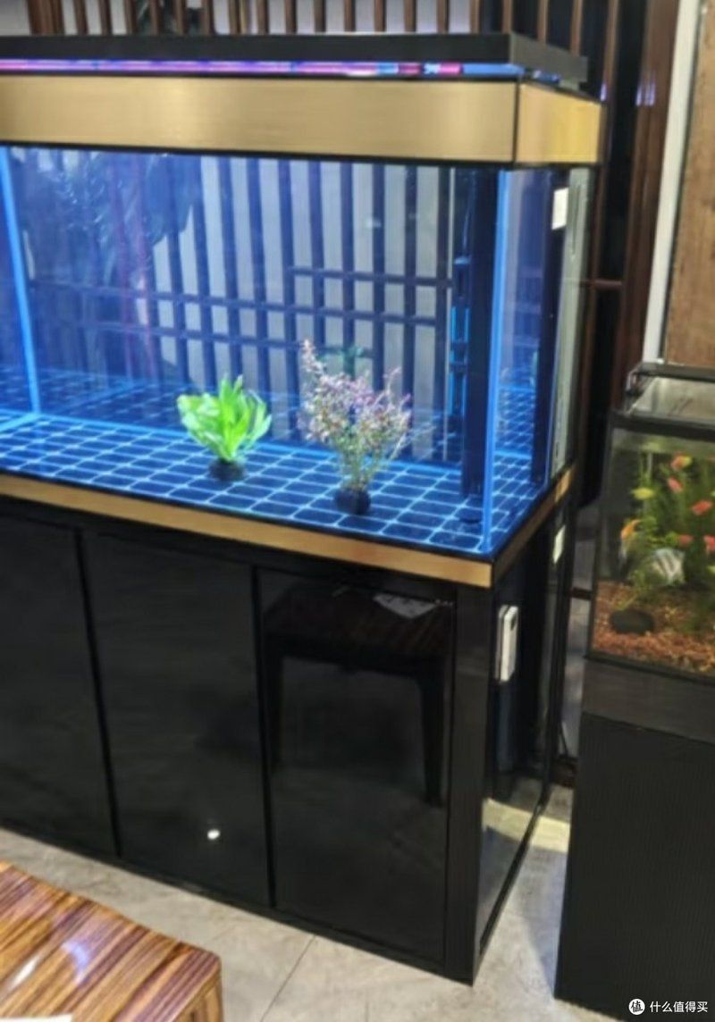 給我推薦幾款80cm寬的龍魚缸