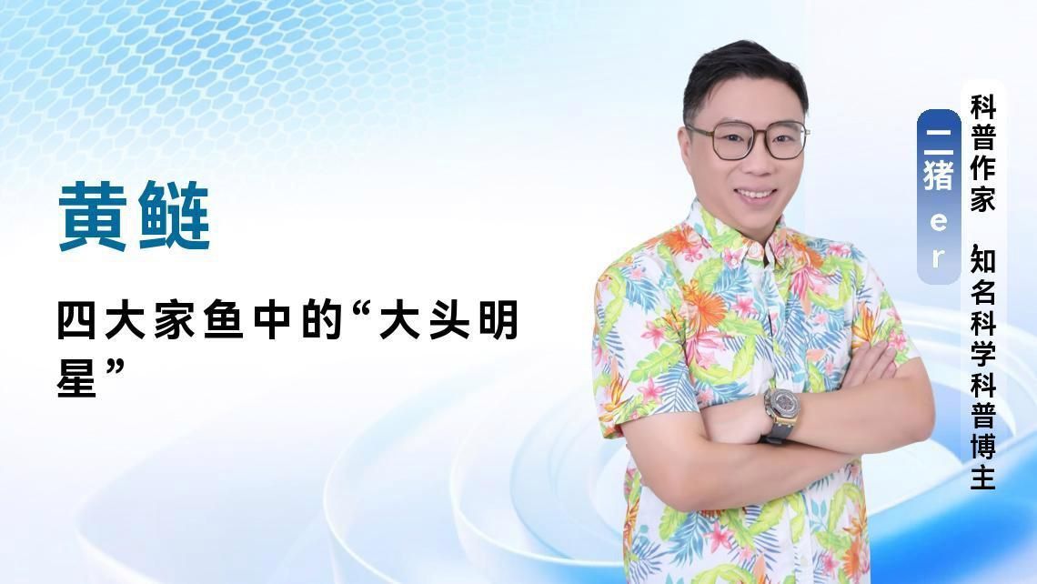 鰱鳙俗稱什么魚