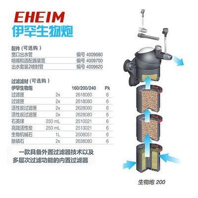 龍魚缸內出現白色線蟲怎么辦：龍魚缸內出現白色線蟲，原因、危害及解決方法