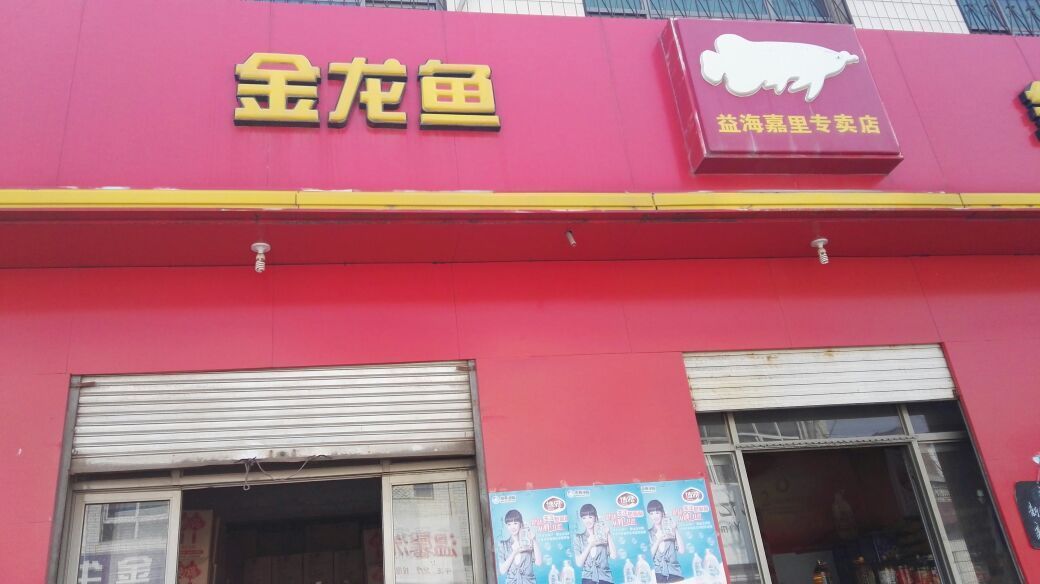 金龍魚專賣店電話（丹東金龍魚專賣店地址查詢）