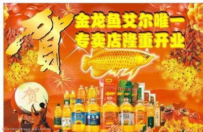 金龍魚專賣店電話（丹東金龍魚專賣店地址查詢）