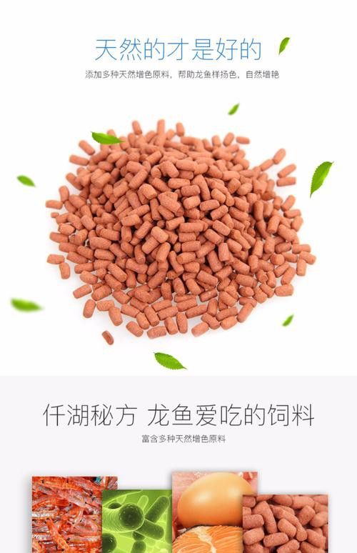 紅龍魚吃什么飼料好？