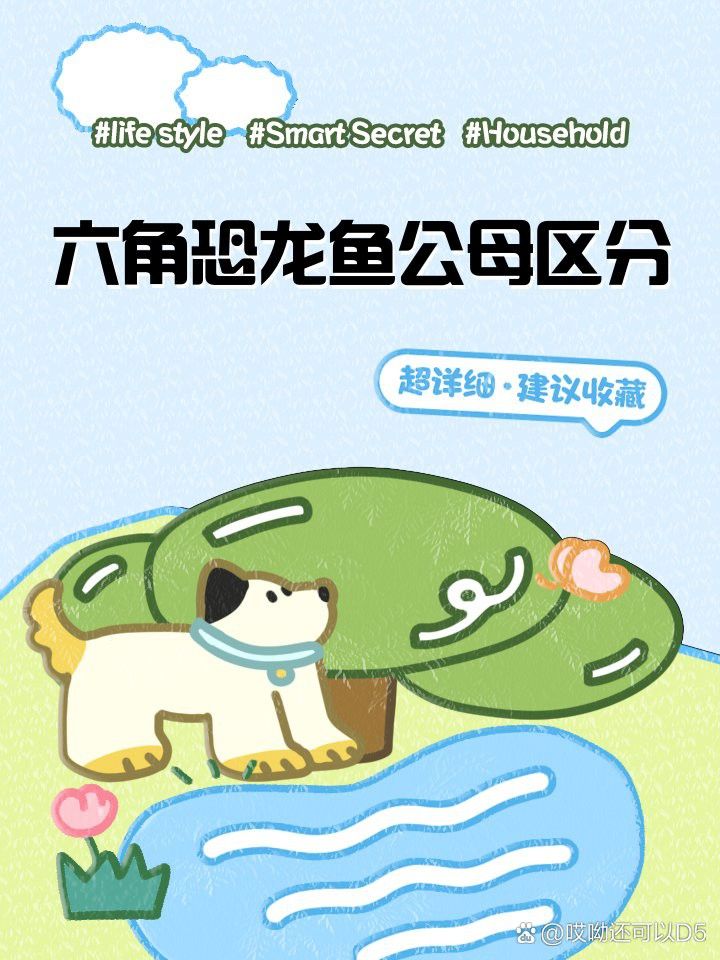 如何判斷六角龍魚是否成熟？