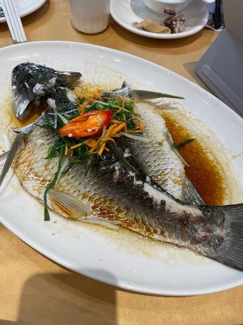 雪龍魚做法大全圖解