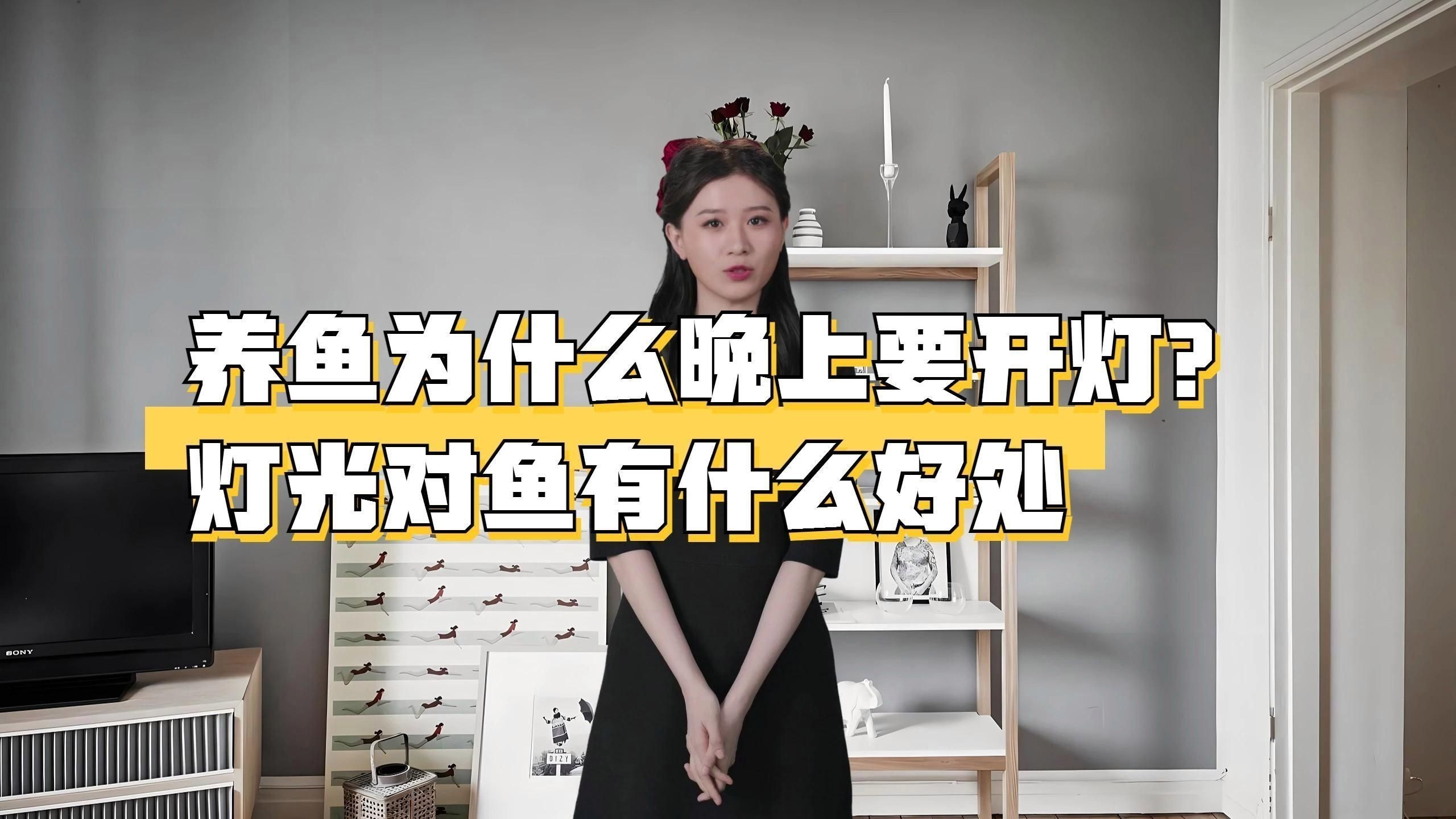 養魚為什么晚上要開燈