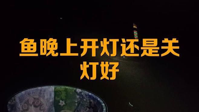 養魚為什么晚上要開燈