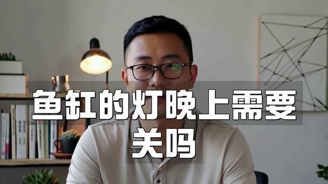 養魚為什么晚上要開燈