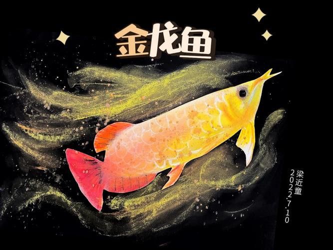 金龍魚圖案作業