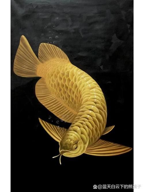 金龍魚圖案作業