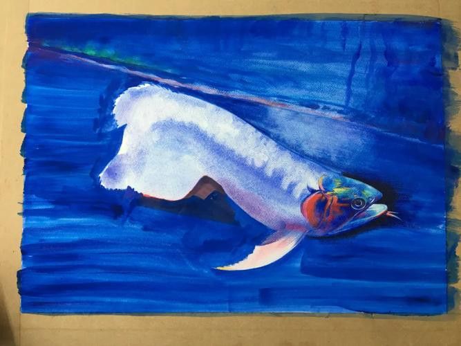 金龍魚圖案作業