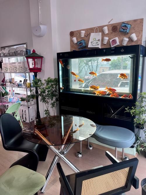 虎皮恐龍魚如何養才活久一點