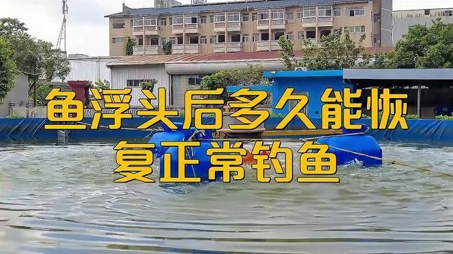 龍魚浮頭需要多久才能恢復(fù)？
