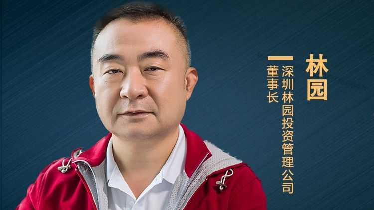 林園還有哪些類似投資？