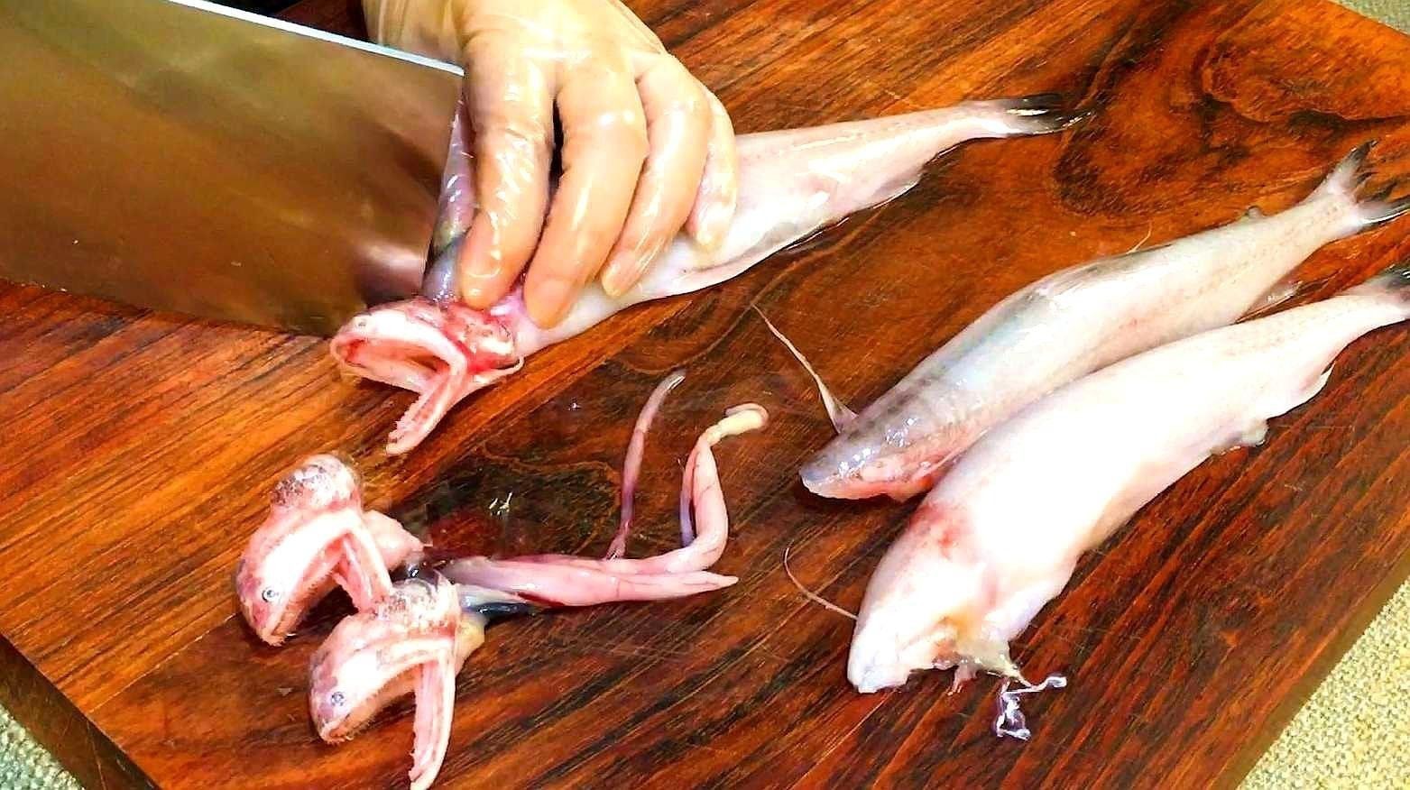 水龍魚怎么燒才好吃竅門