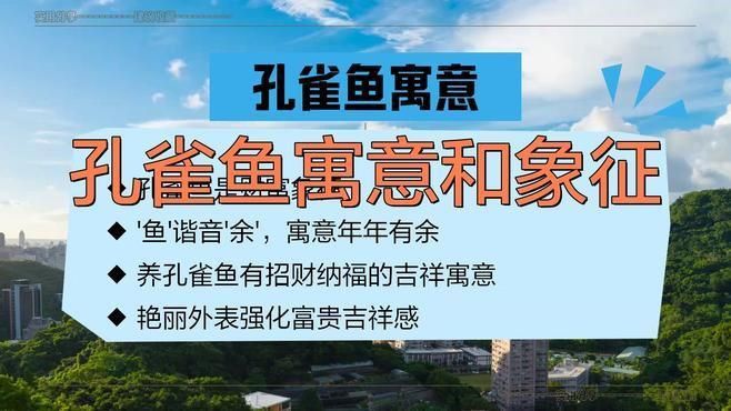 孔雀魚招財最厲害的顏色
