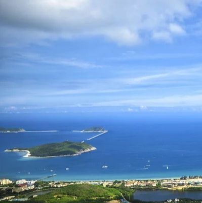 金魚藻會跟魚搶氧氣嗎