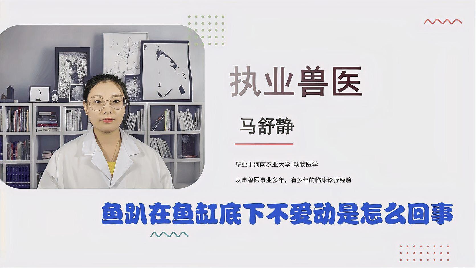 龍魚魚缸品牌十大排名榜（品龍魚魚缸品牌十大排名榜）