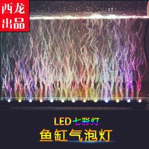 養(yǎng)龍魚晚上開燈還是不開：養(yǎng)龍魚晚上開燈的注意事項(xiàng)