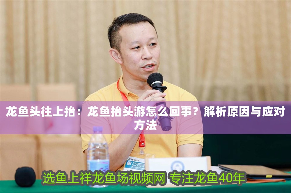 龍魚頭往上抬：龍魚抬頭游怎么回事？解析原因與應對方法 龍魚頭往上抬：龍魚抬頭游怎么回事？解析原因與應對方法 龍魚百科 第1張