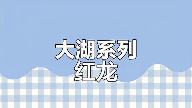 大湖紅龍魚的市場需求如何？