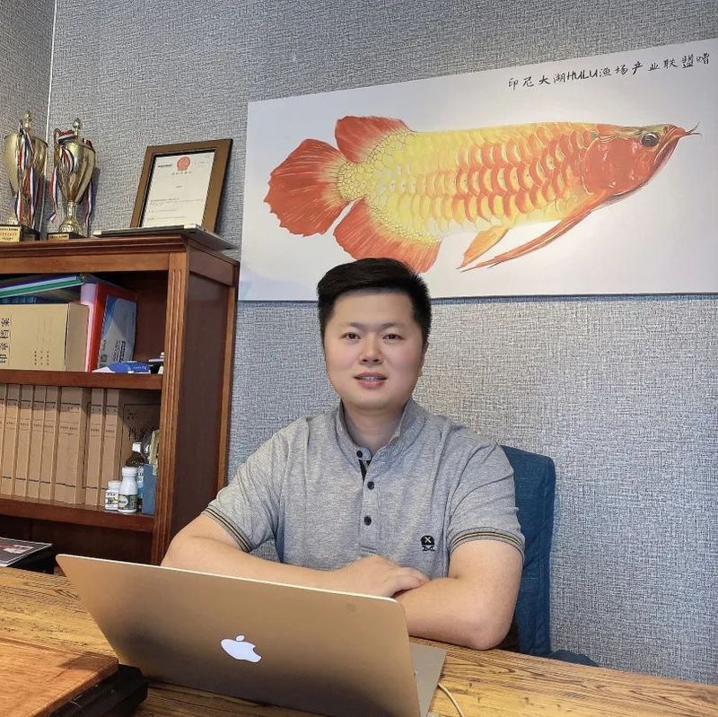 大湖紅龍魚的市場需求如何？