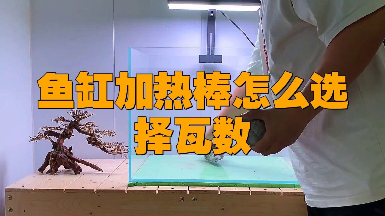 金龍魚缸需要多大的功率加熱棒