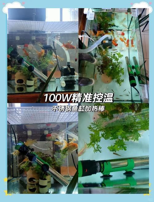 金龍魚缸需要多大的功率加熱棒