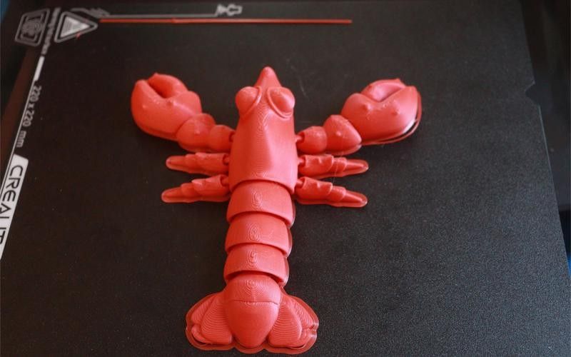 龍蝦圖片如何與品牌元素結合