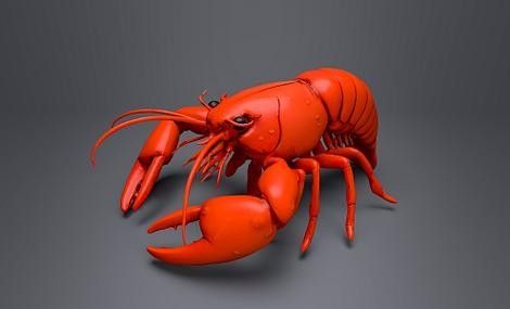 龍蝦圖片如何與品牌元素結合