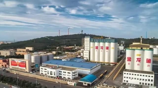 龍魚掉眼后還能恢復正常嗎視頻：龍魚掉眼后能否恢復正常？