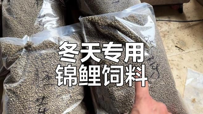 口碑最好的錦鯉飼料