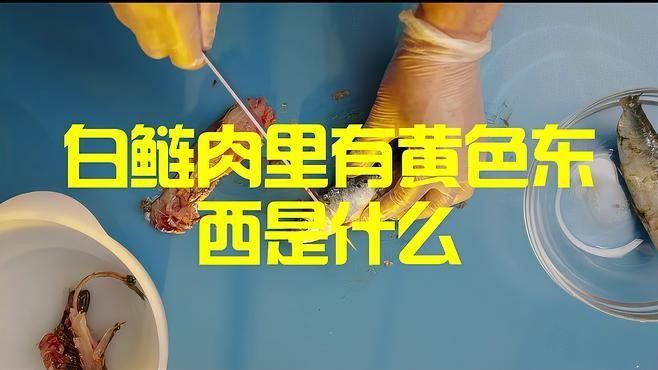 紅龍魚小時候一天喂幾次（紅龍魚一天喂幾次）